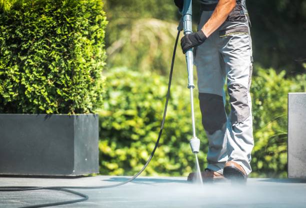 Best Building Exterior Pressure Washing in Jasper, TX